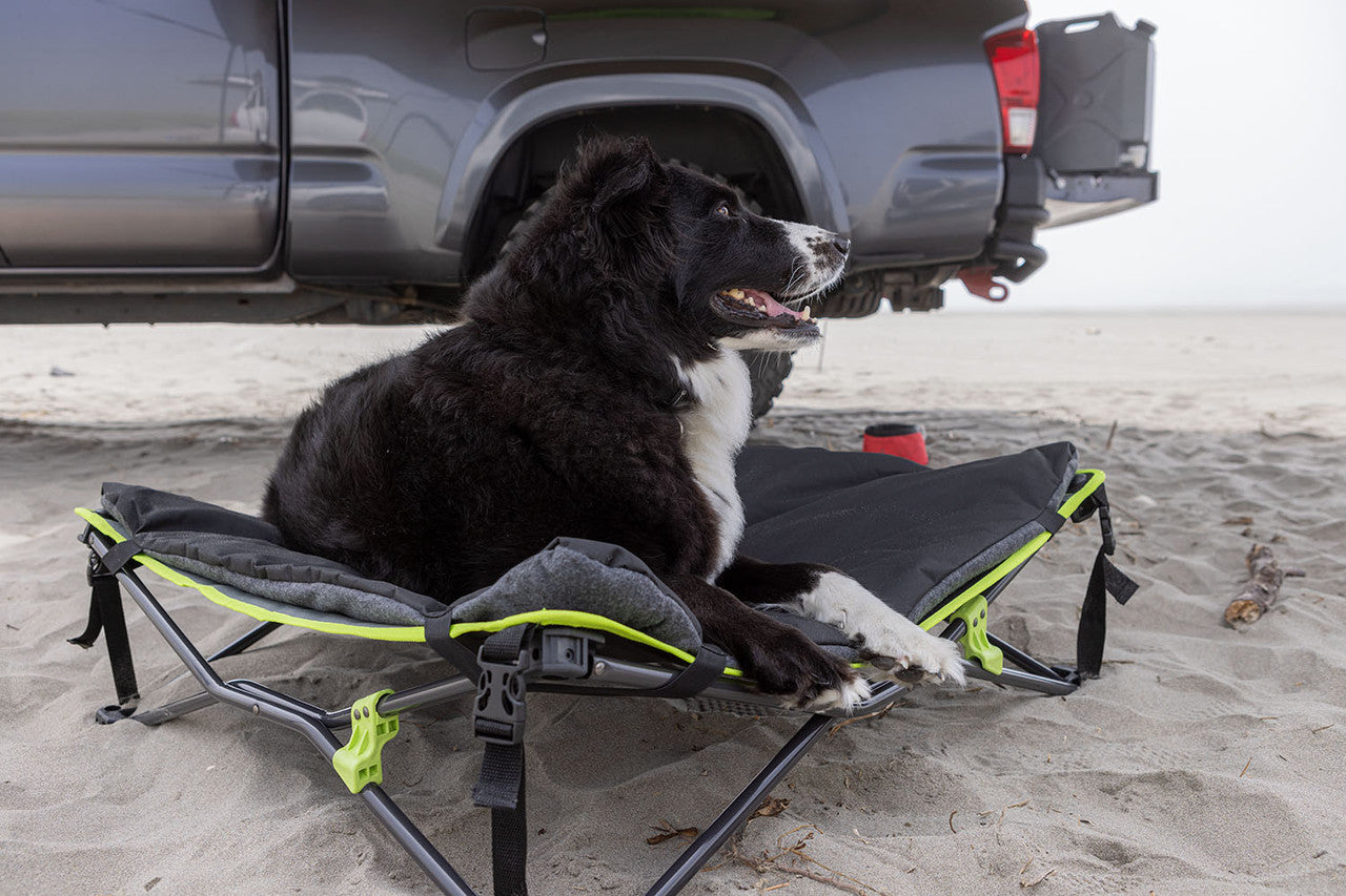 Ironman 4X4 Quick Fold Dog Bed With Padded Mat