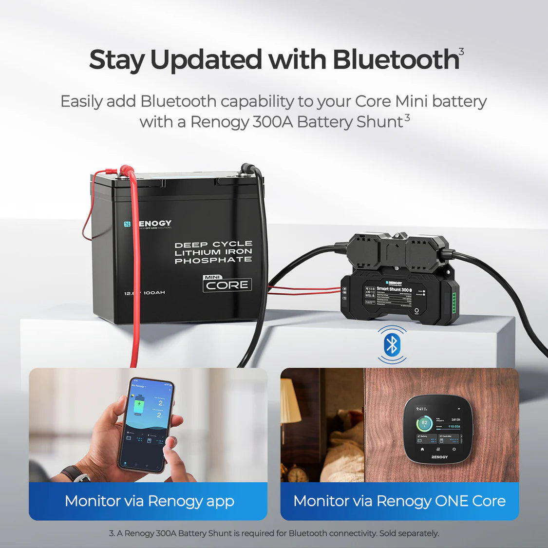 Renogy 12V 100Ah Core Mini Lithium Battery